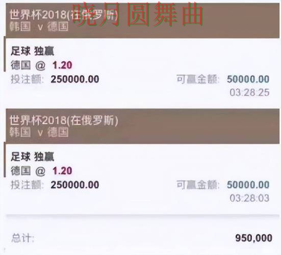 世界杯买球平台为什么越来越多人关注经验分享